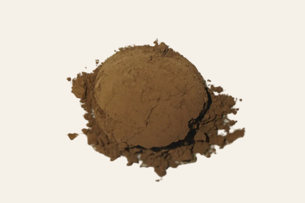 Hojicha Edition 2 | Dark Roast